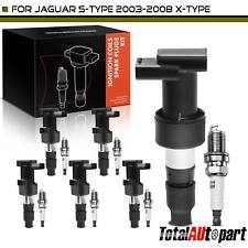 6x Ignition Coil & IRIDIUM Spark Plug Kits for Jaguar X-Type X-Type 2003-2008 picture